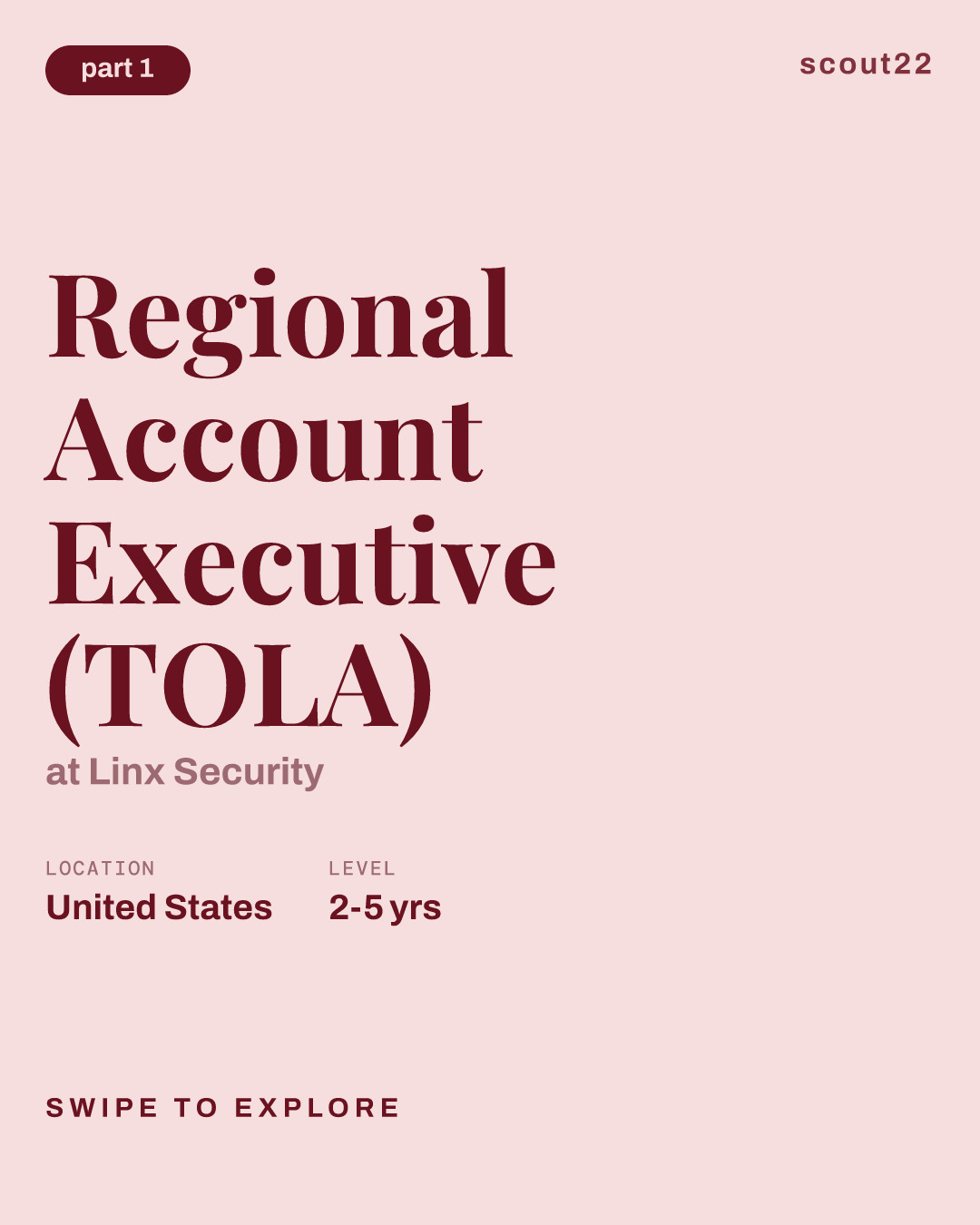 Regional Account Executive (TOLA) at Linx Security