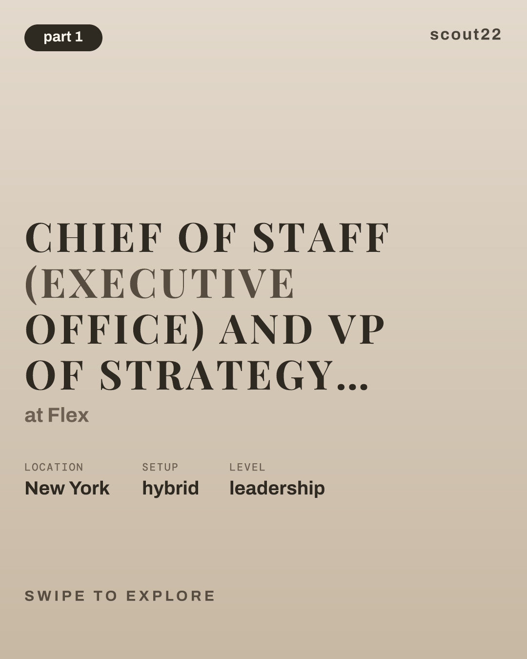 Chief of Staff (Executive Office) and VP of Strategy & Operations at Flex
