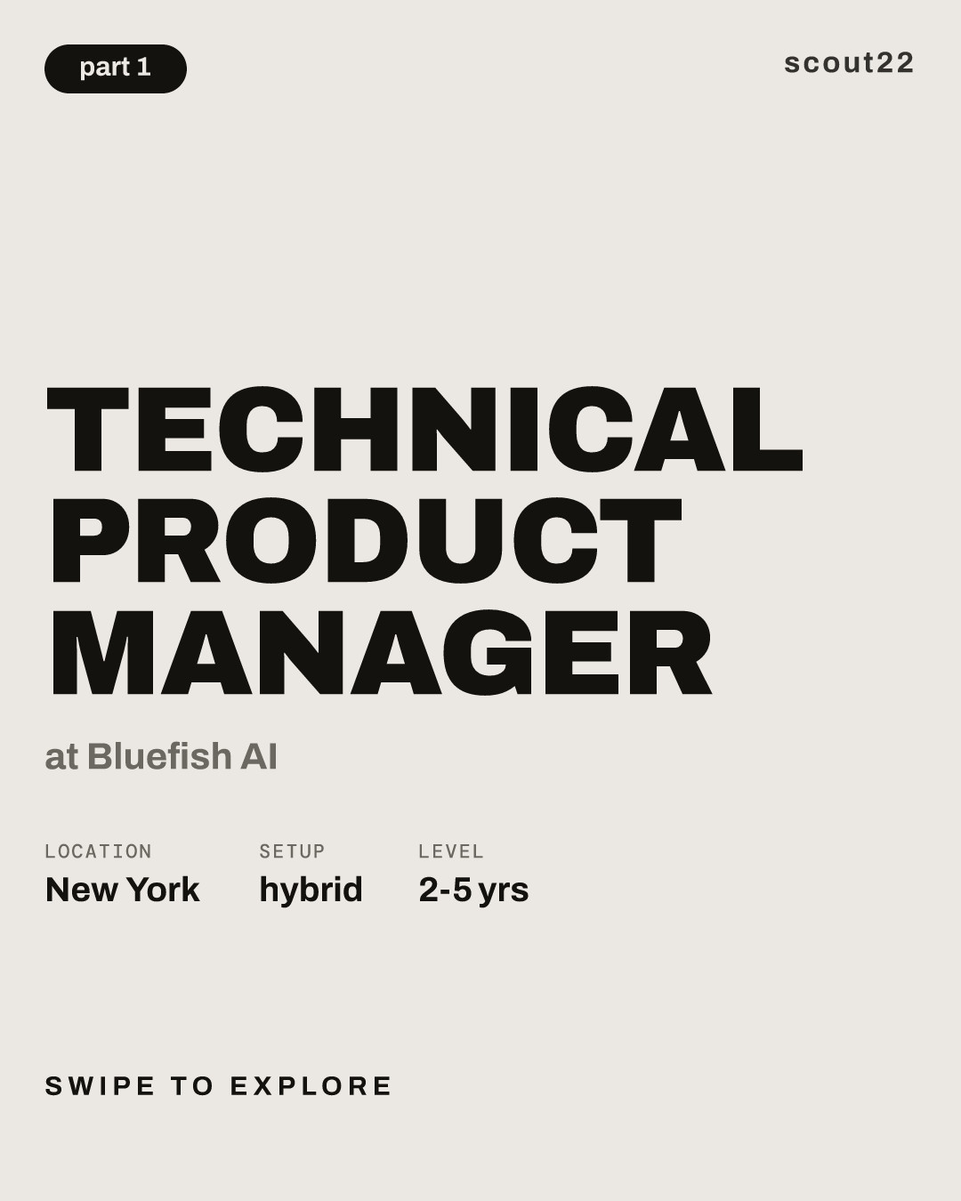 Technical Product Manager at Bluefish AI