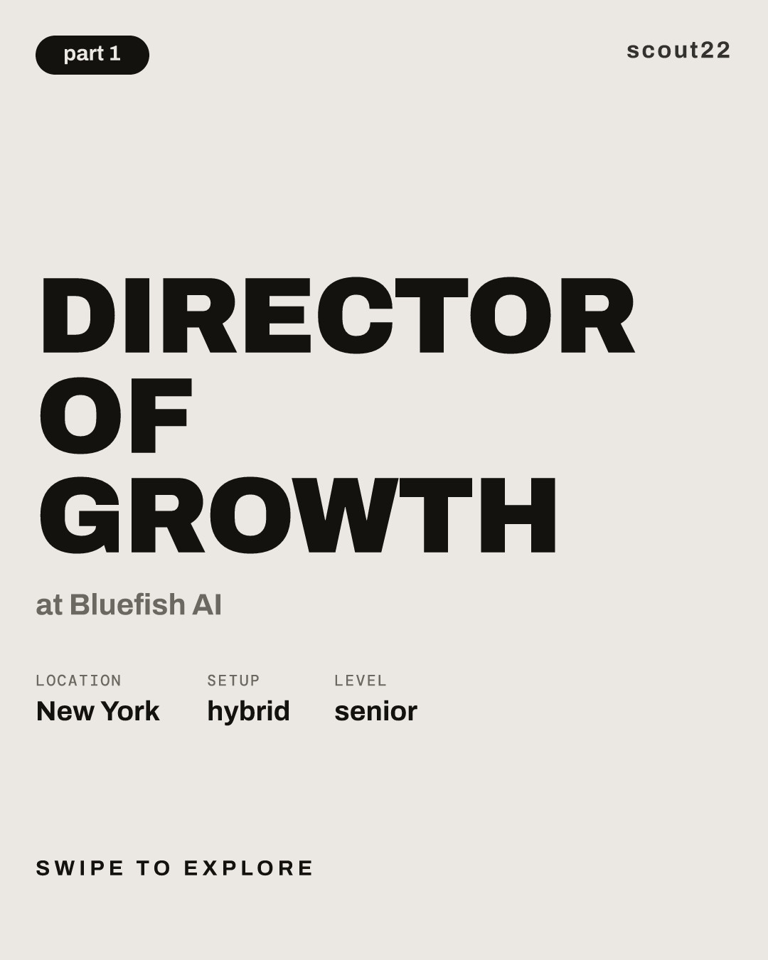 Director of Growth at Bluefish AI