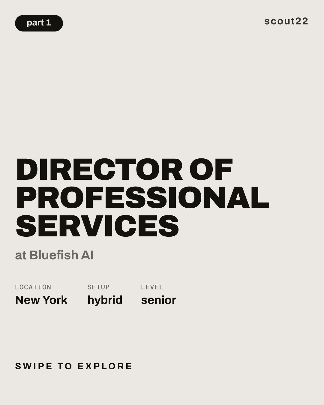 Director of Professional Services at Bluefish AI