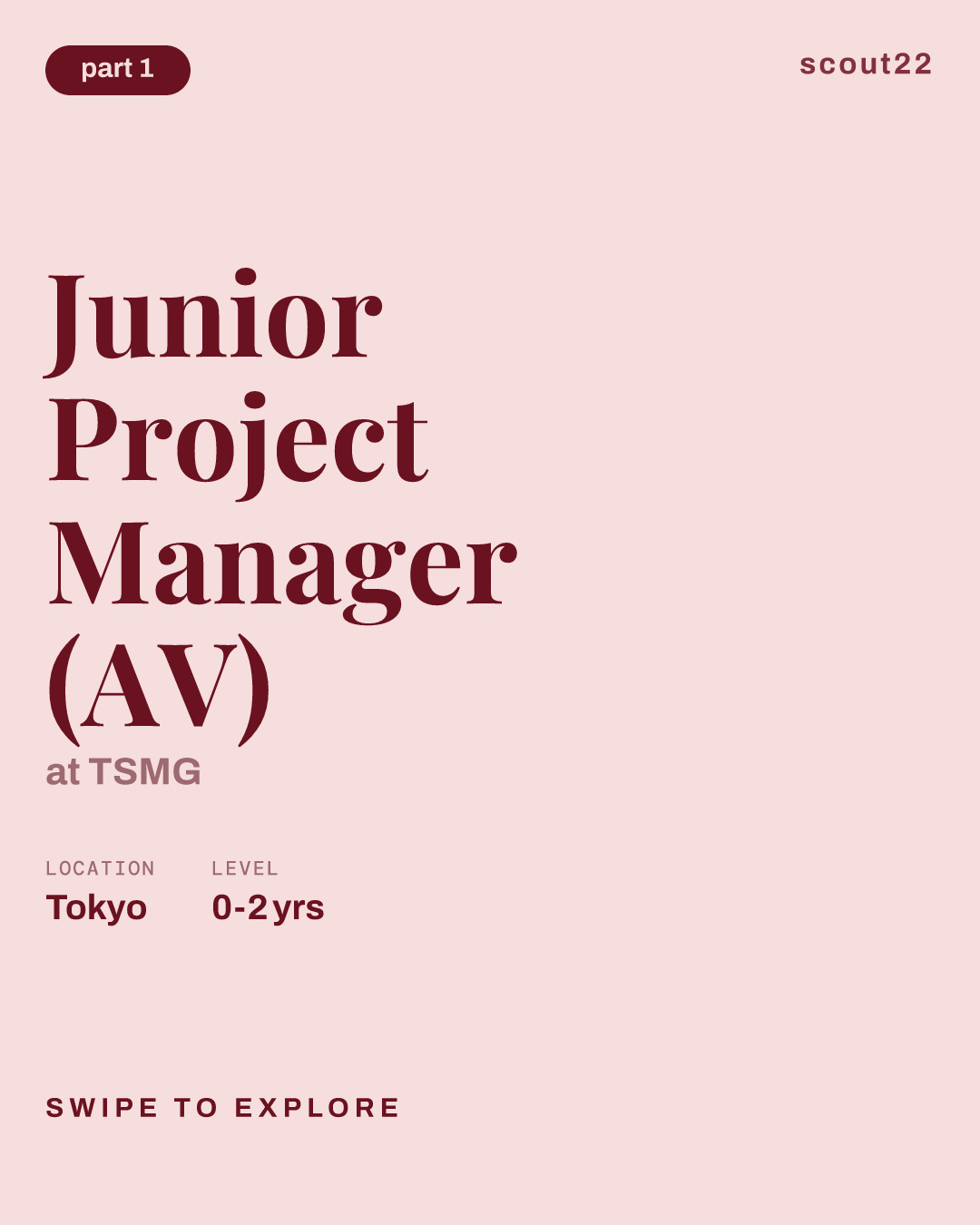 Junior Project Manager (AV) at TSMG