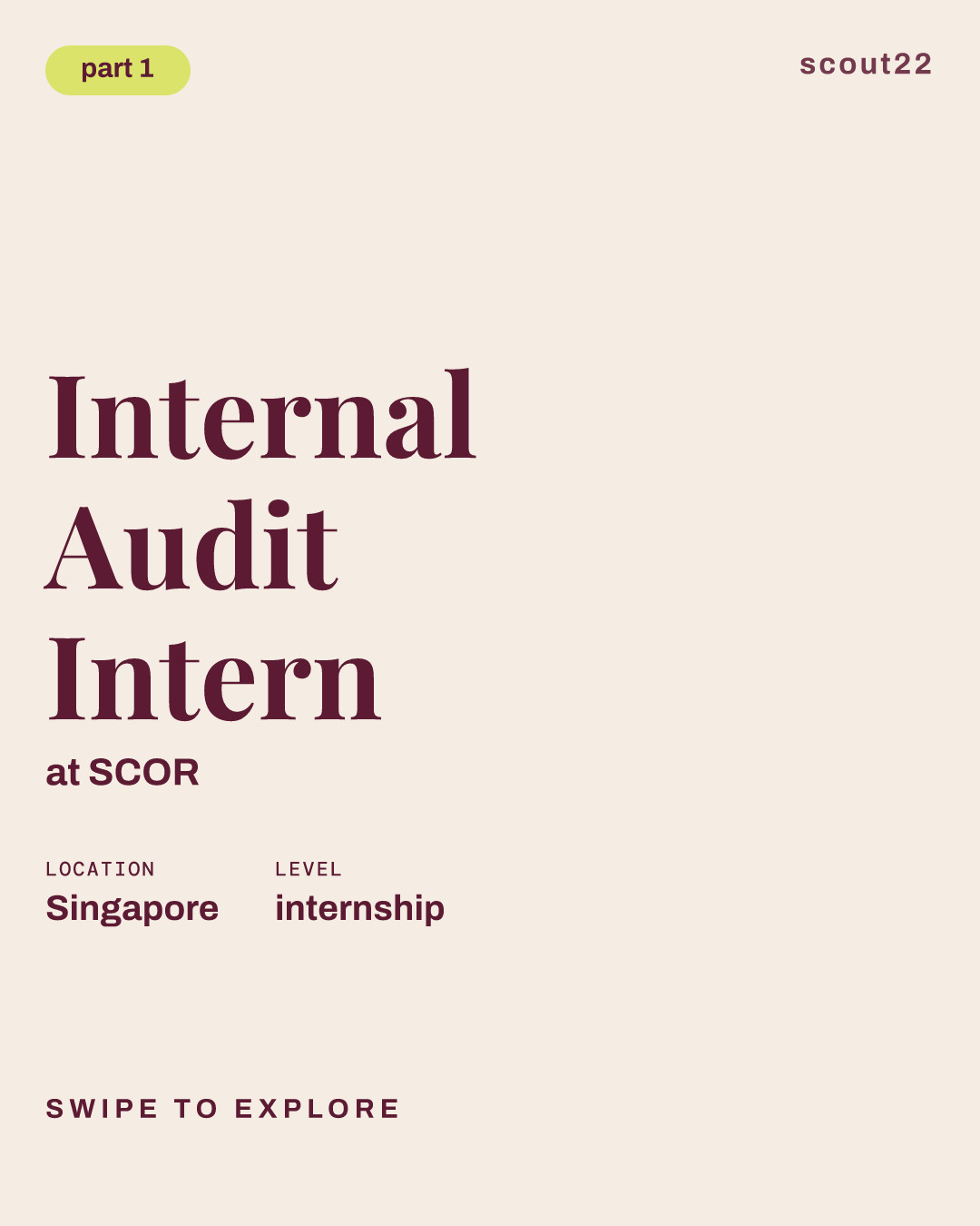 Internal Audit Intern at SCOR
