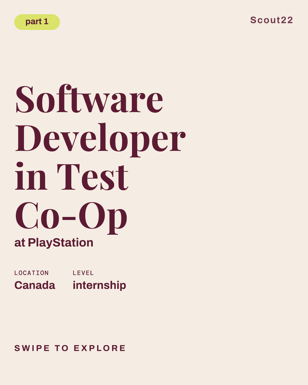 Software Developer in Test Co-Op at PlayStation