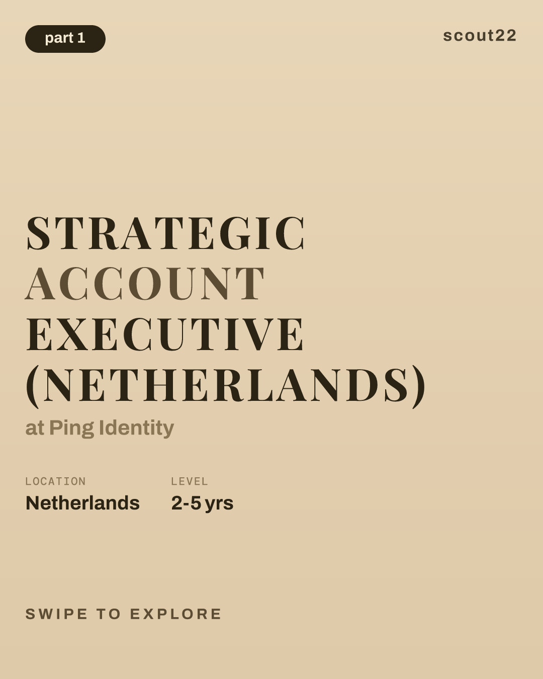 Strategic Account Executive (Netherlands) at Ping Identity