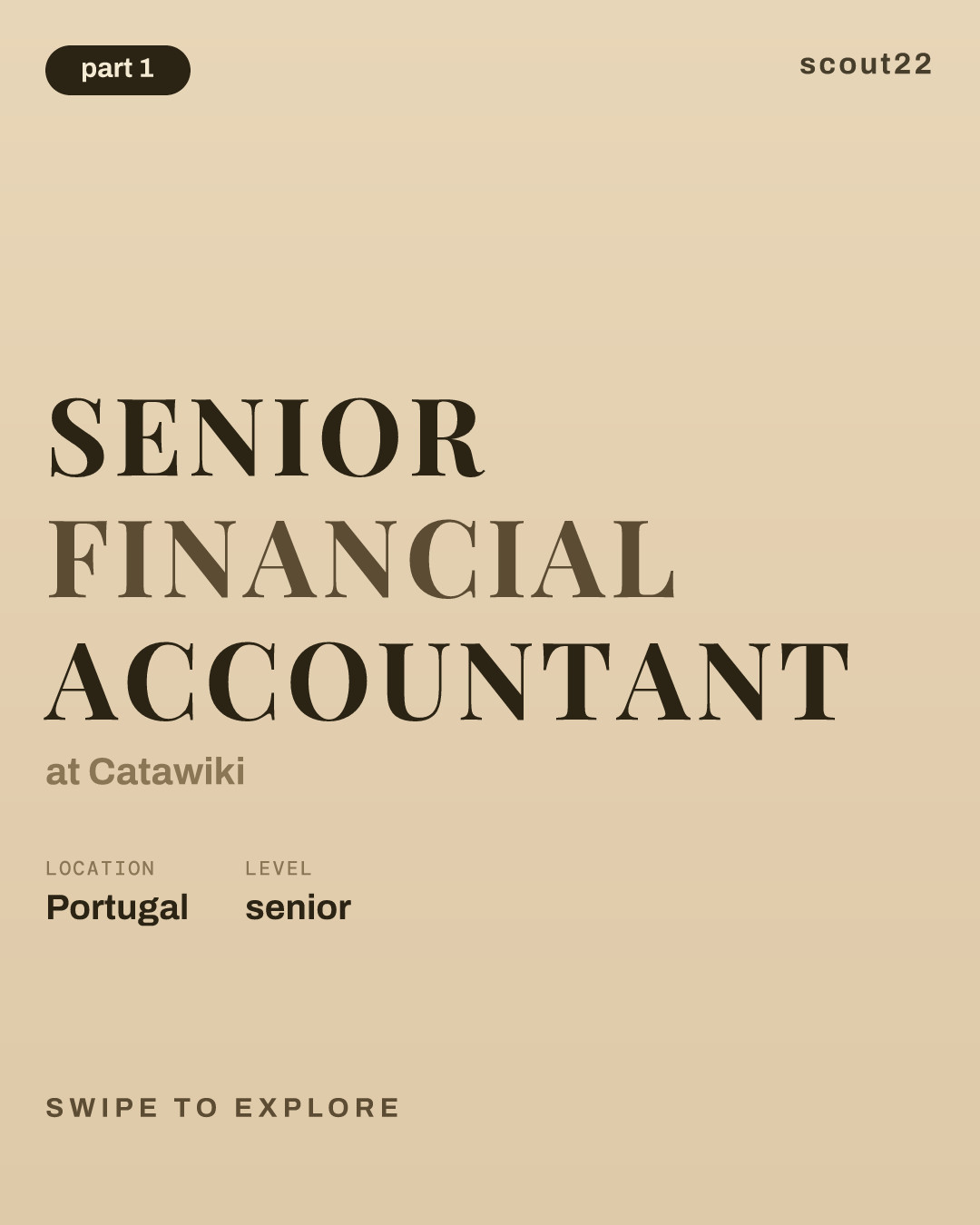Senior Financial Accountant at Catawiki