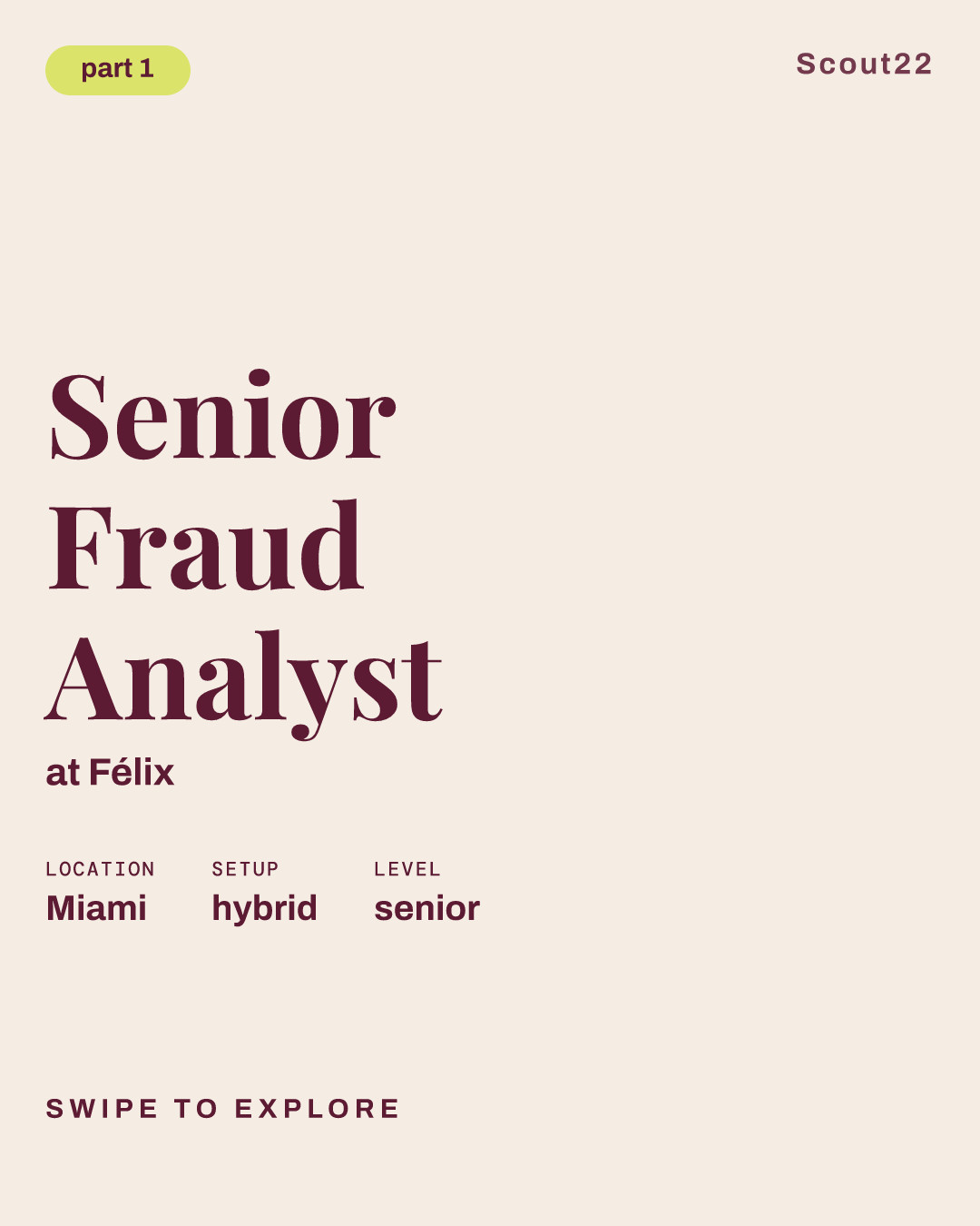 Senior Fraud Analyst at Félix