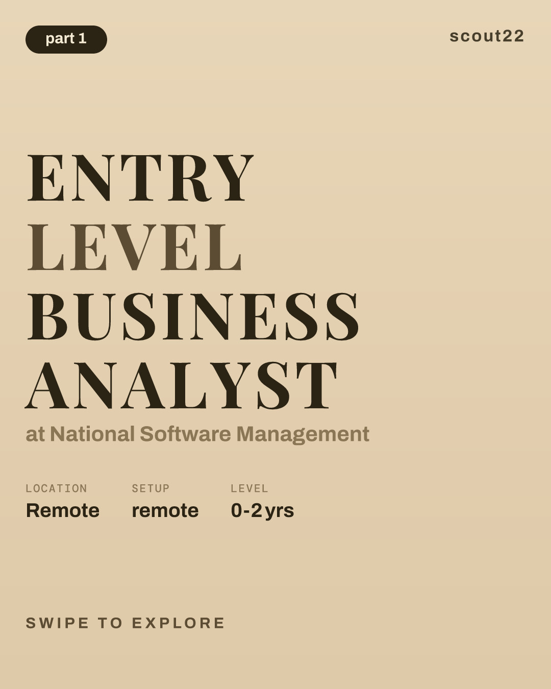 Entry Level Business Analyst at National Software Management