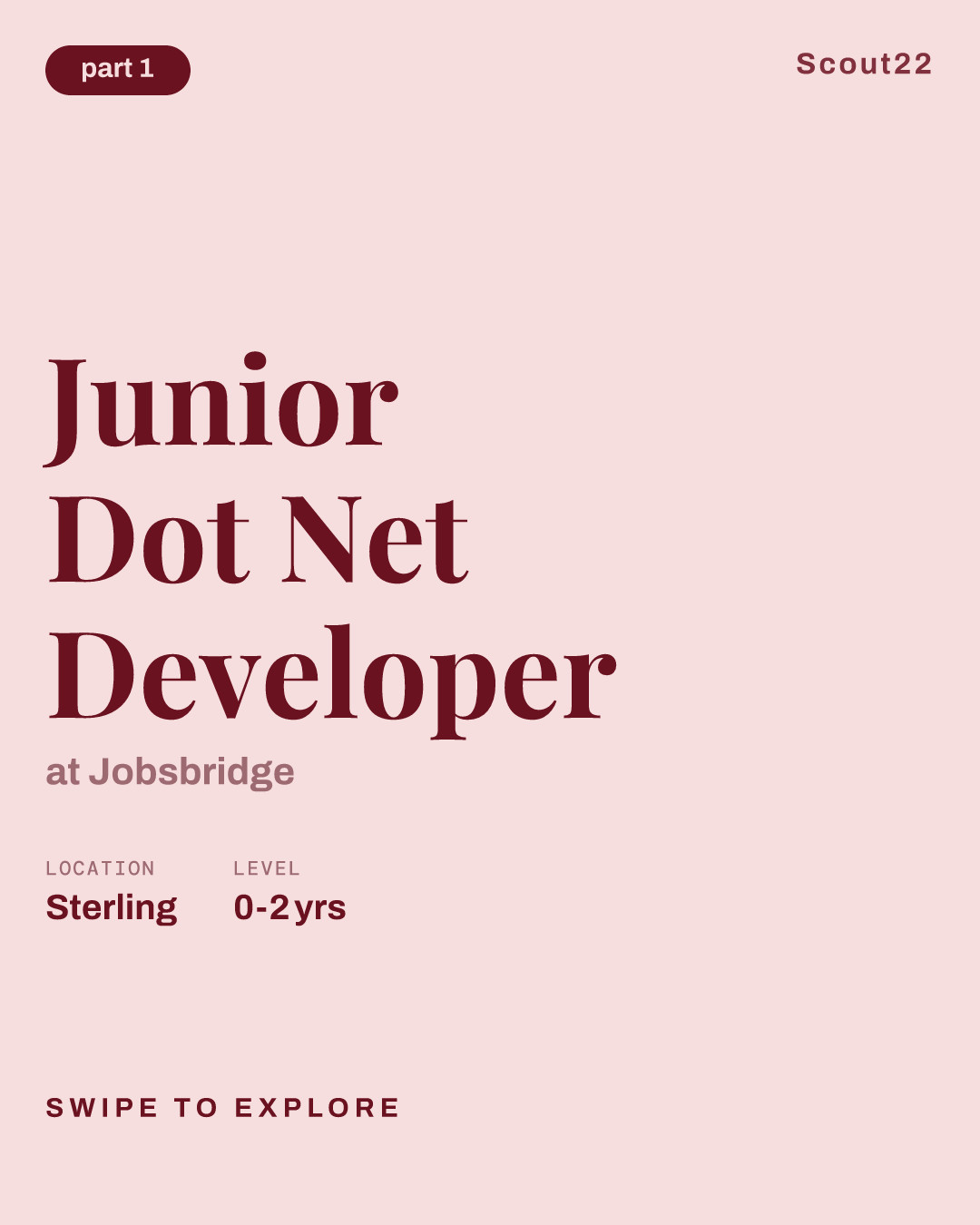 Junior Dot Net Developer at Jobsbridge