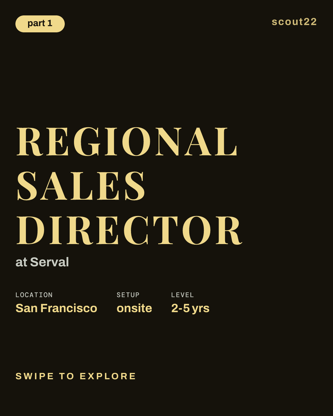 Regional Sales Director at Serval