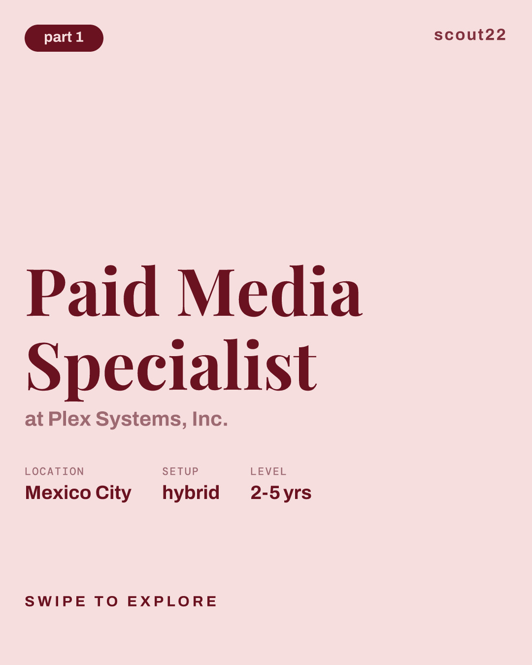 Paid Media Specialist at Plex Systems, Inc.
