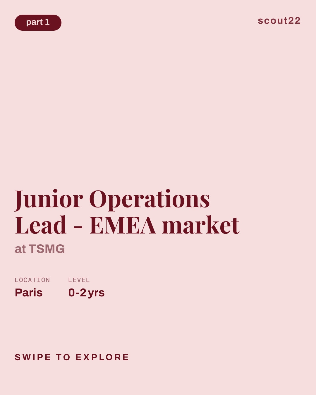 Junior Operations Lead - EMEA market at TSMG