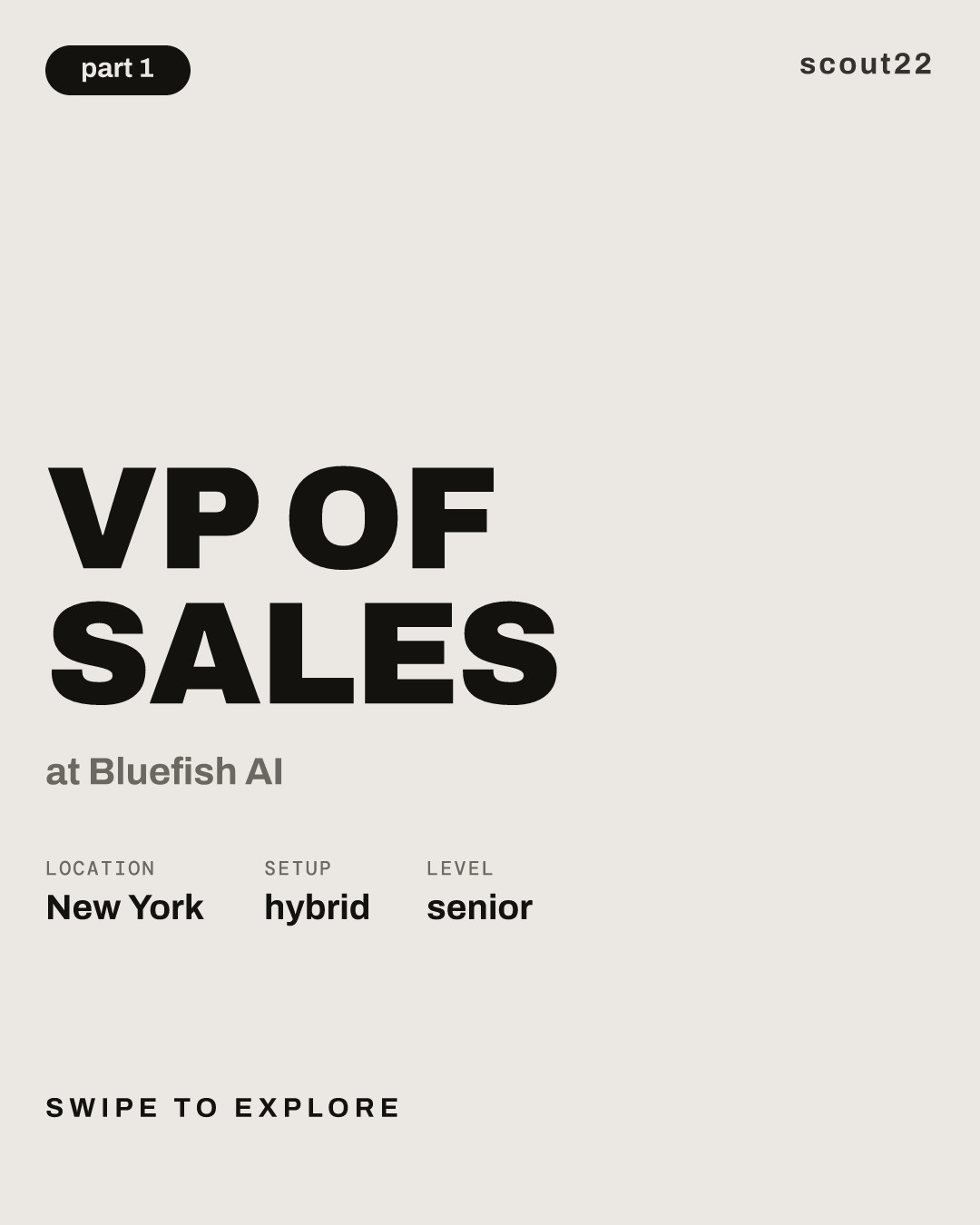 VP of Sales at Bluefish AI