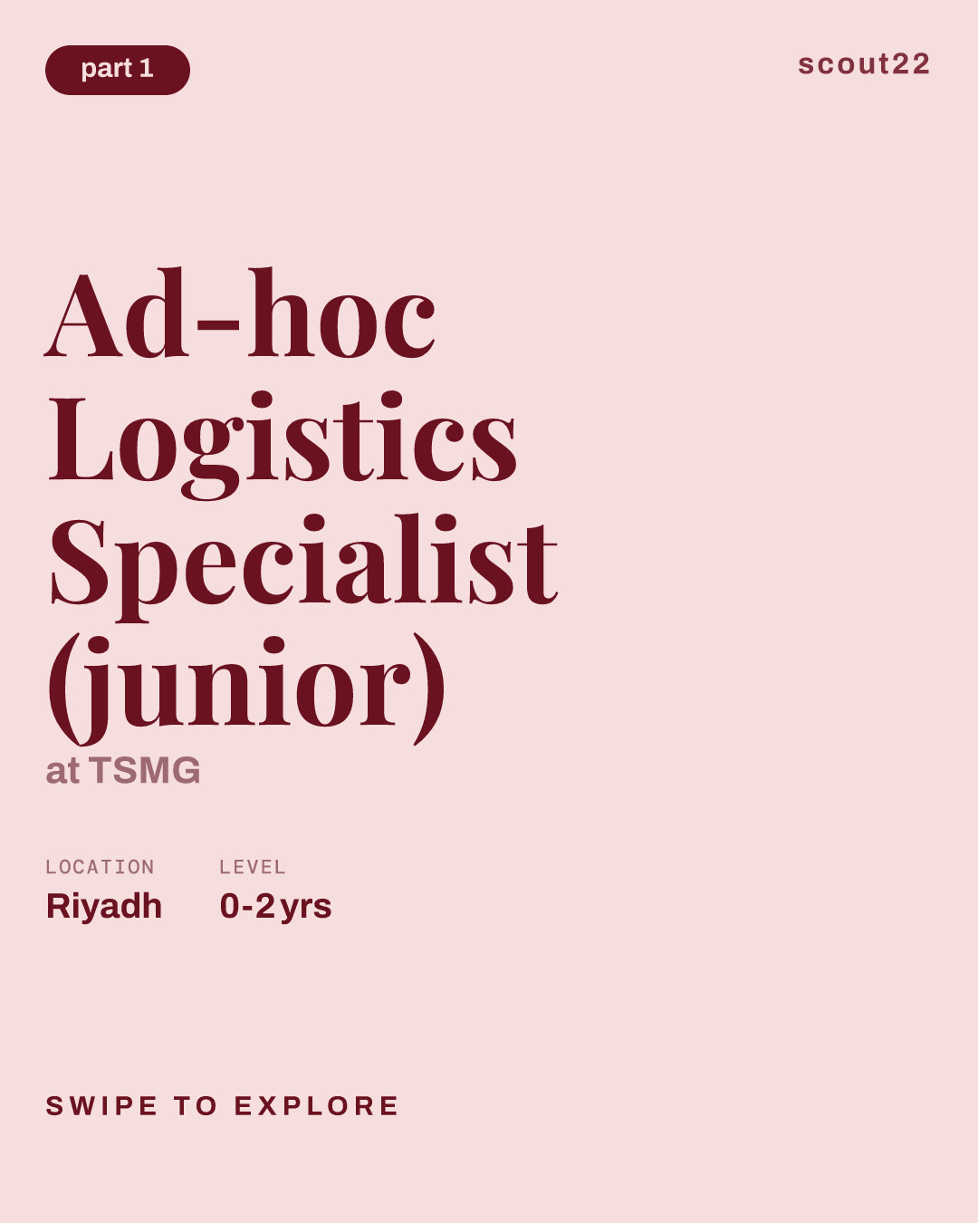 Ad-hoc Logistics Specialist (junior) at TSMG