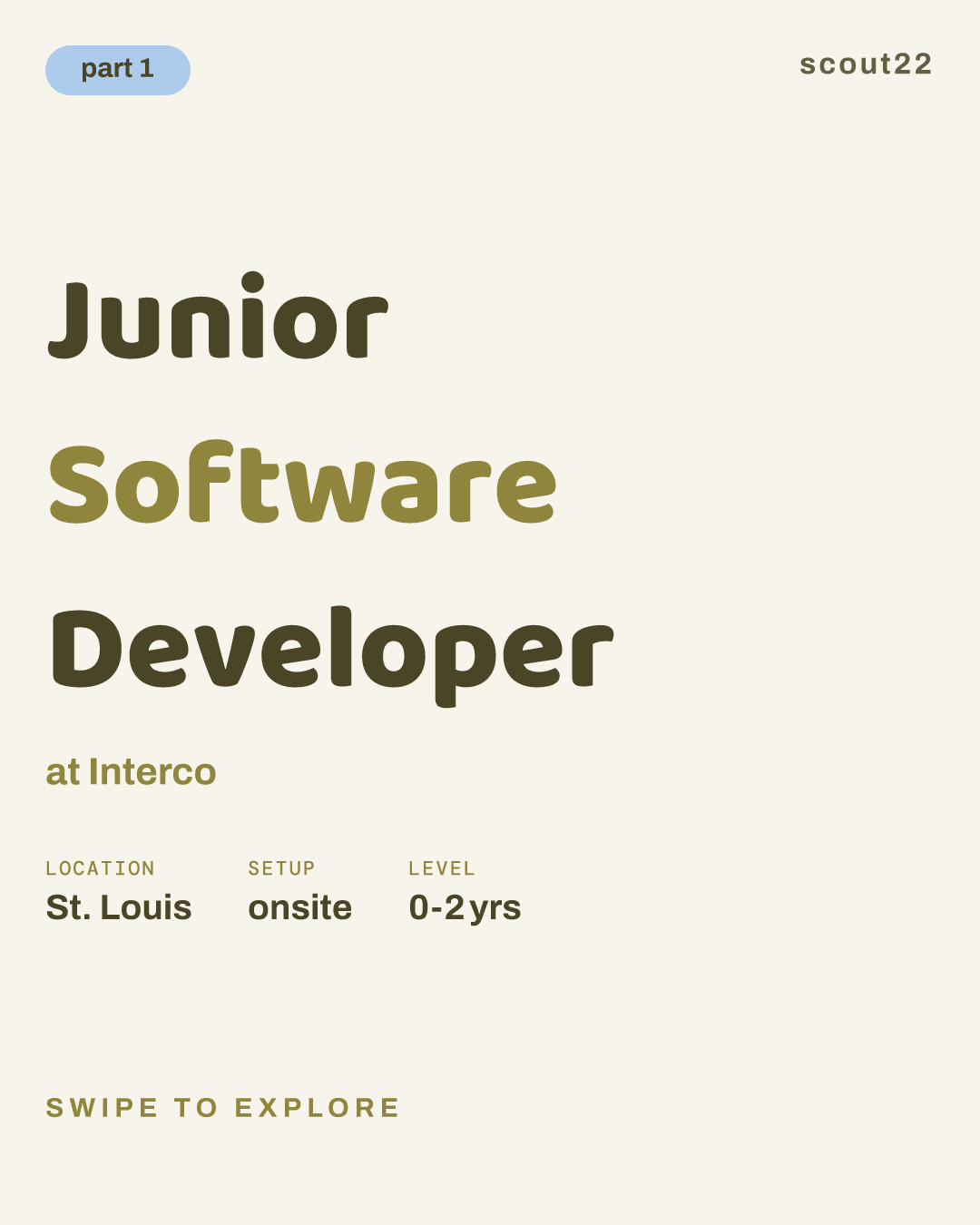 Junior Software Developer at Interco