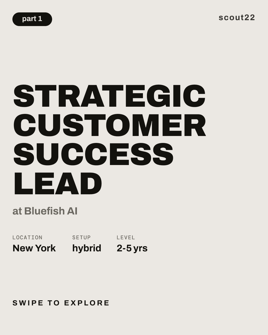 Strategic Customer Success Lead at Bluefish AI