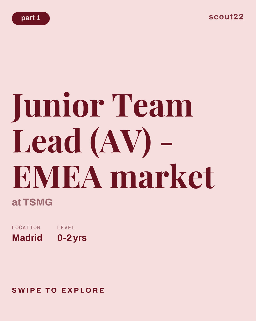Junior Team Lead (AV) - EMEA market at TSMG