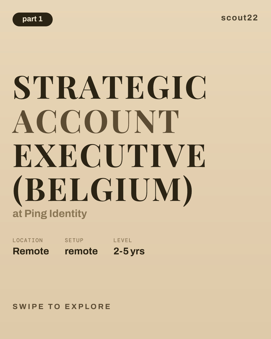 Strategic Account Executive (Belgium) at Ping Identity