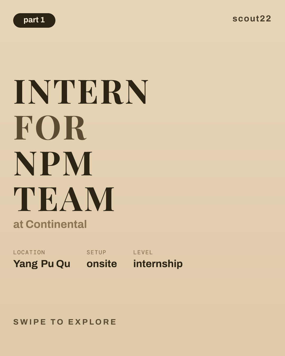 Intern for NPM Team at Continental