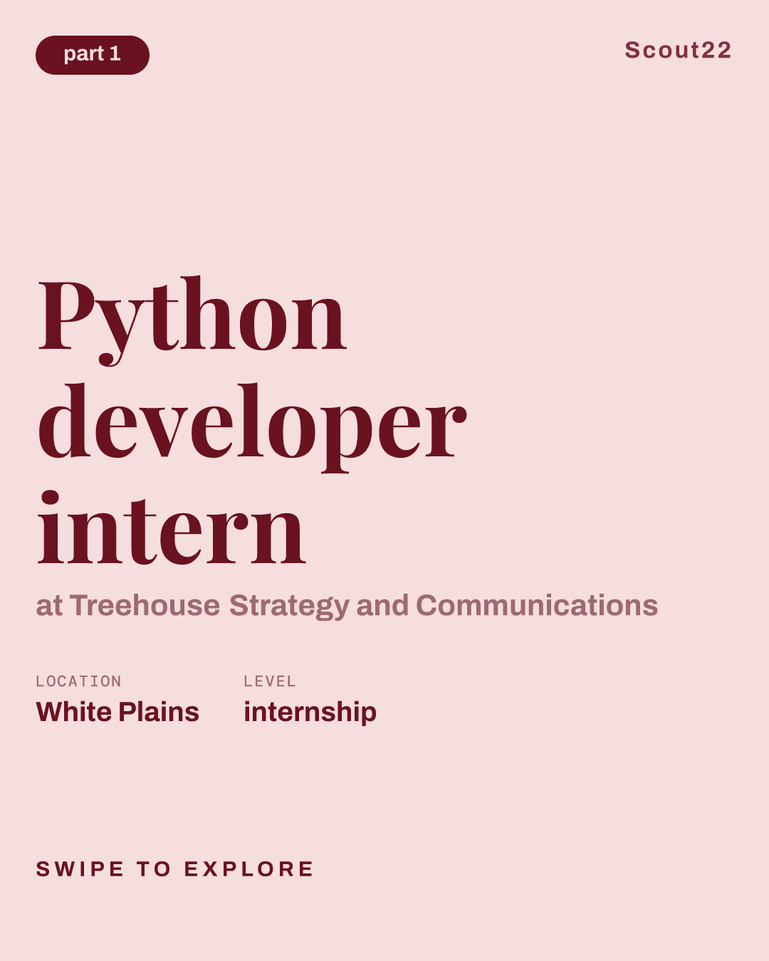 Python developer intern at Treehouse Strategy and Communications