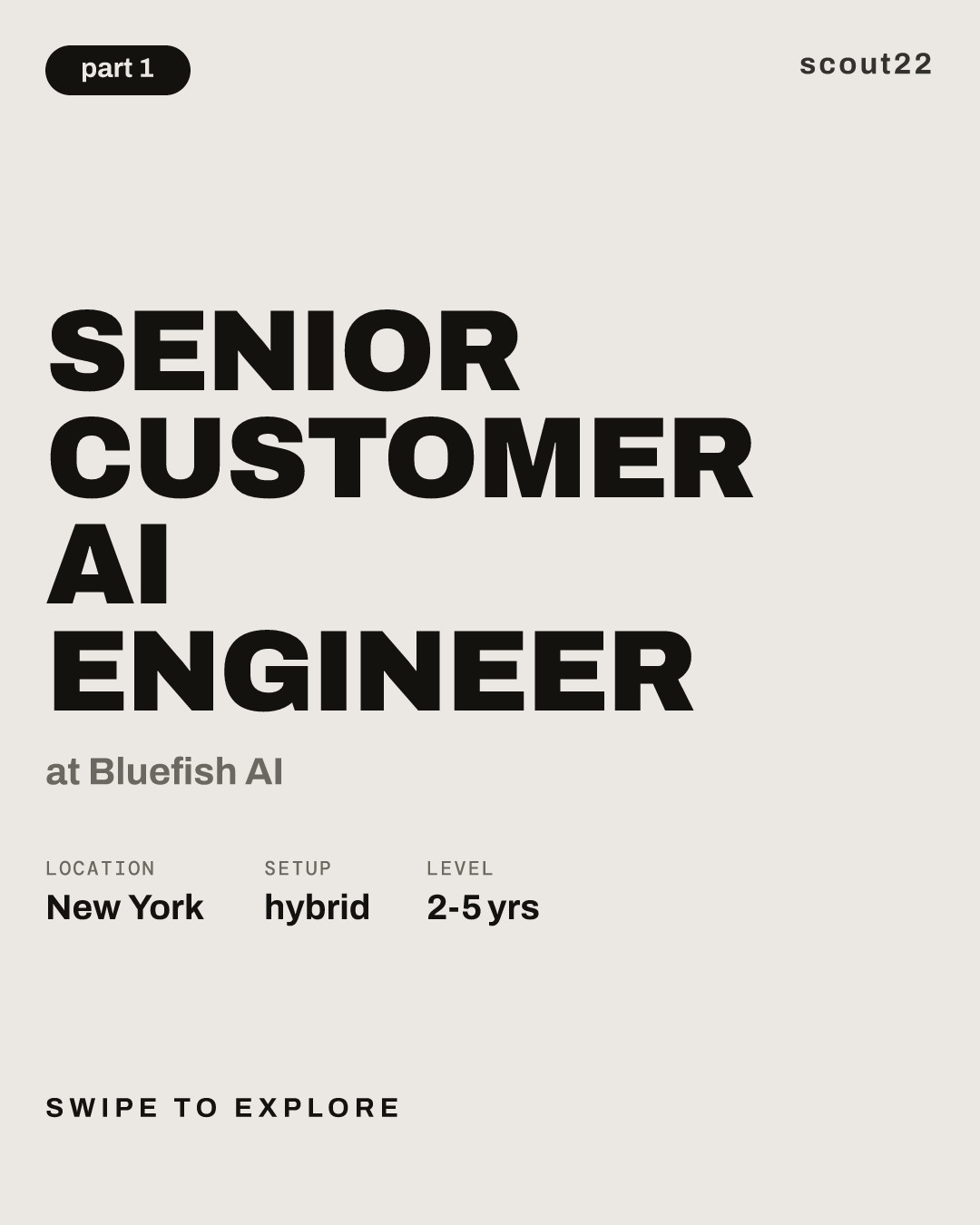 Senior Customer AI Engineer at Bluefish AI