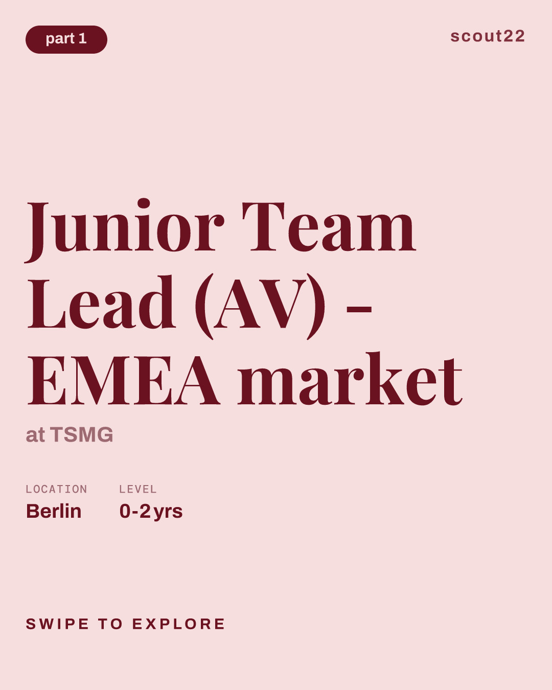 Junior Team Lead (AV) - EMEA market at TSMG