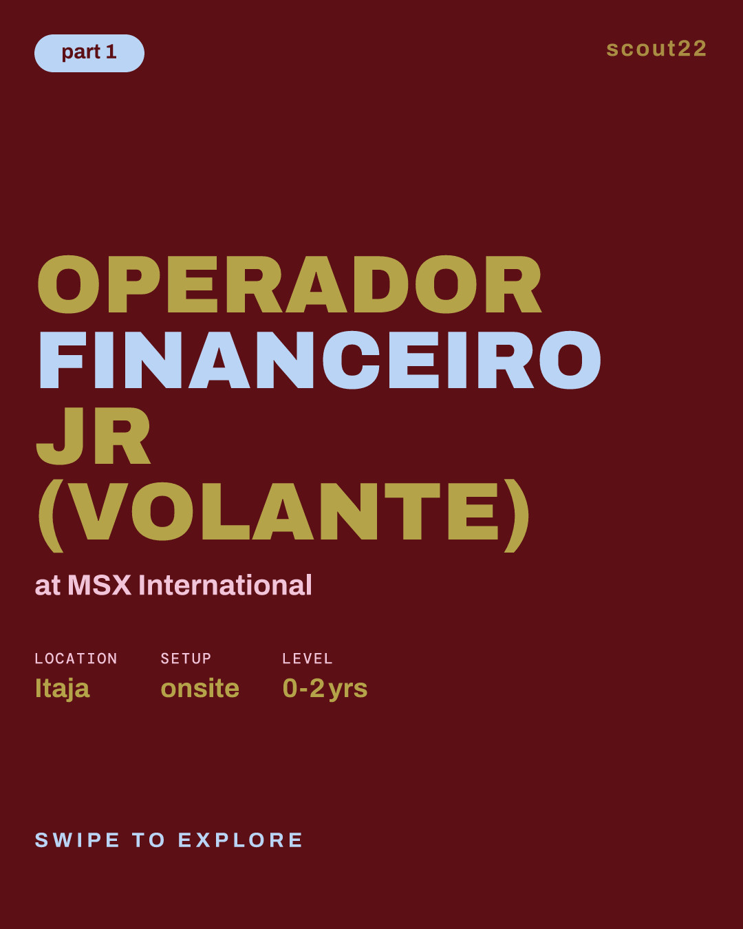 Operador Financeiro Jr (Volante) at MSX International