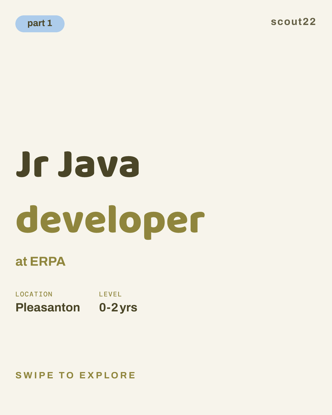 Jr Java developer at ERPA