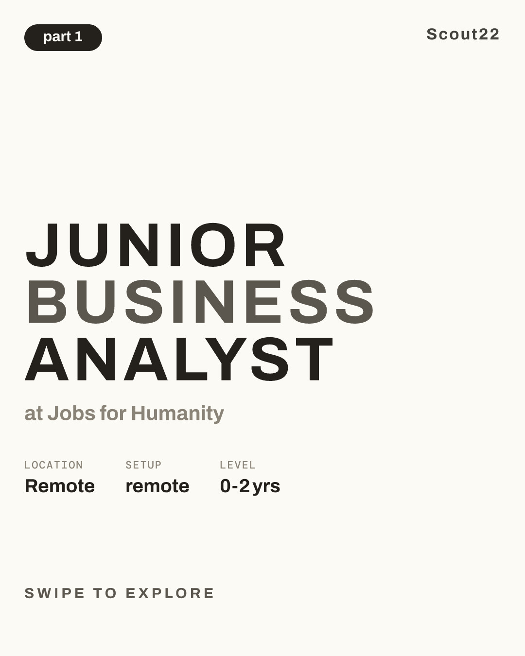 Junior Business Analyst at Jobs for Humanity