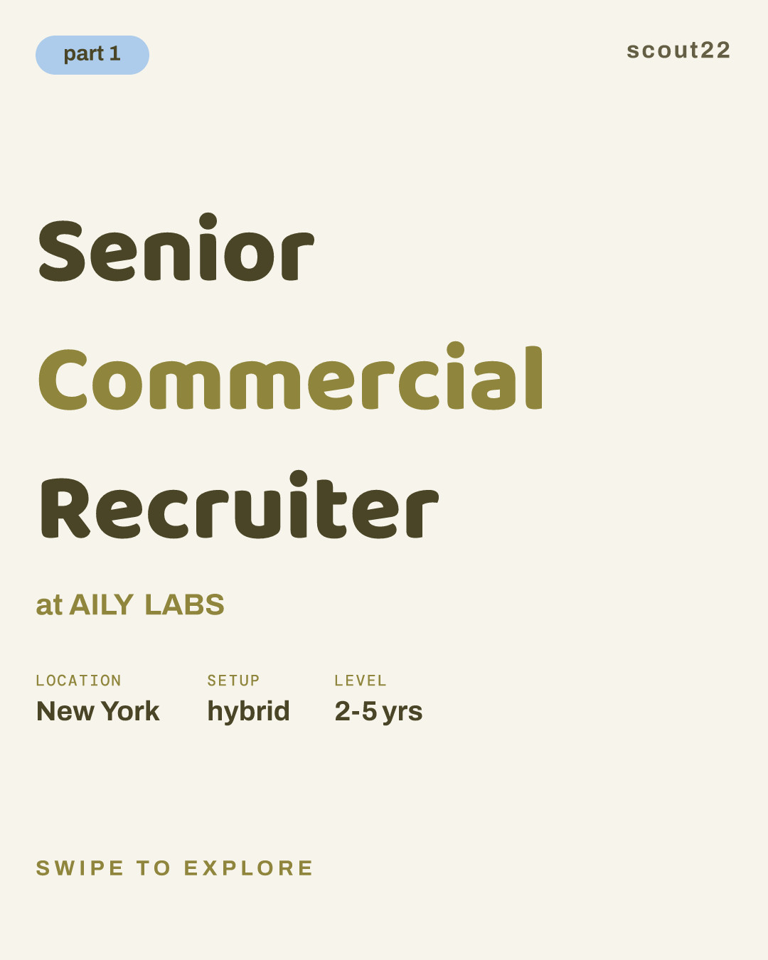 Senior Commercial Recruiter at AILY LABS