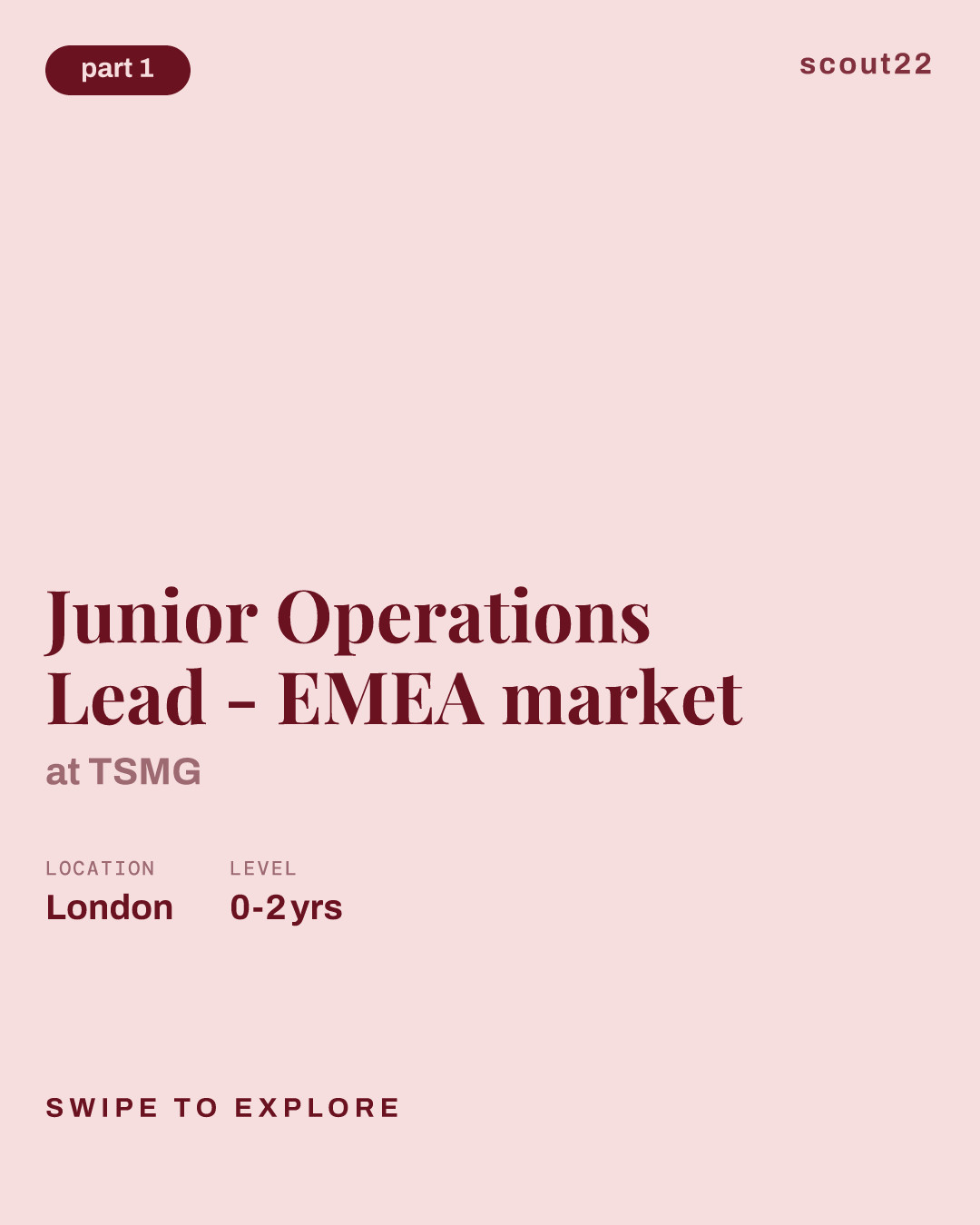 Junior Operations Lead - EMEA market at TSMG