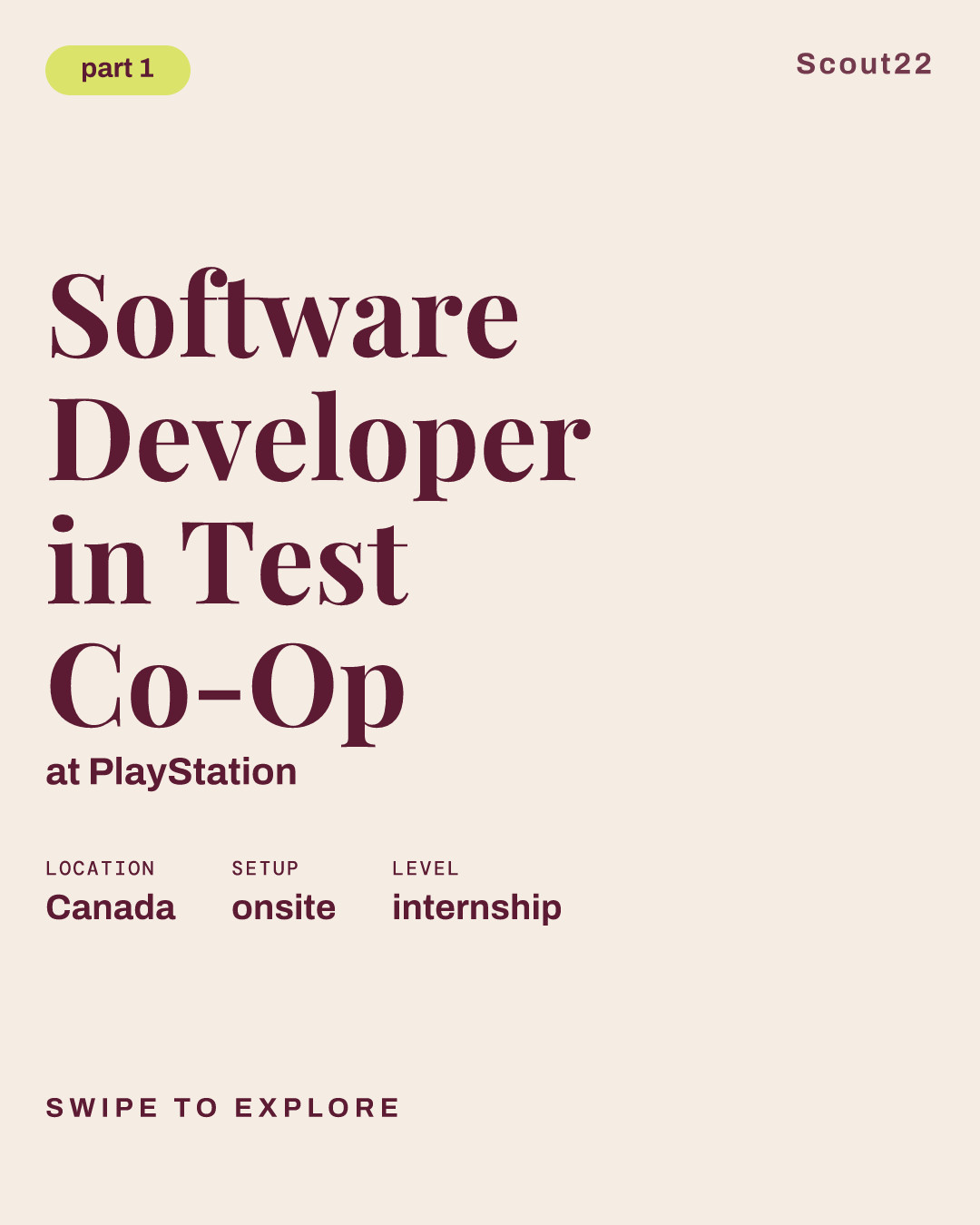 Software Developer in Test Co-Op at PlayStation