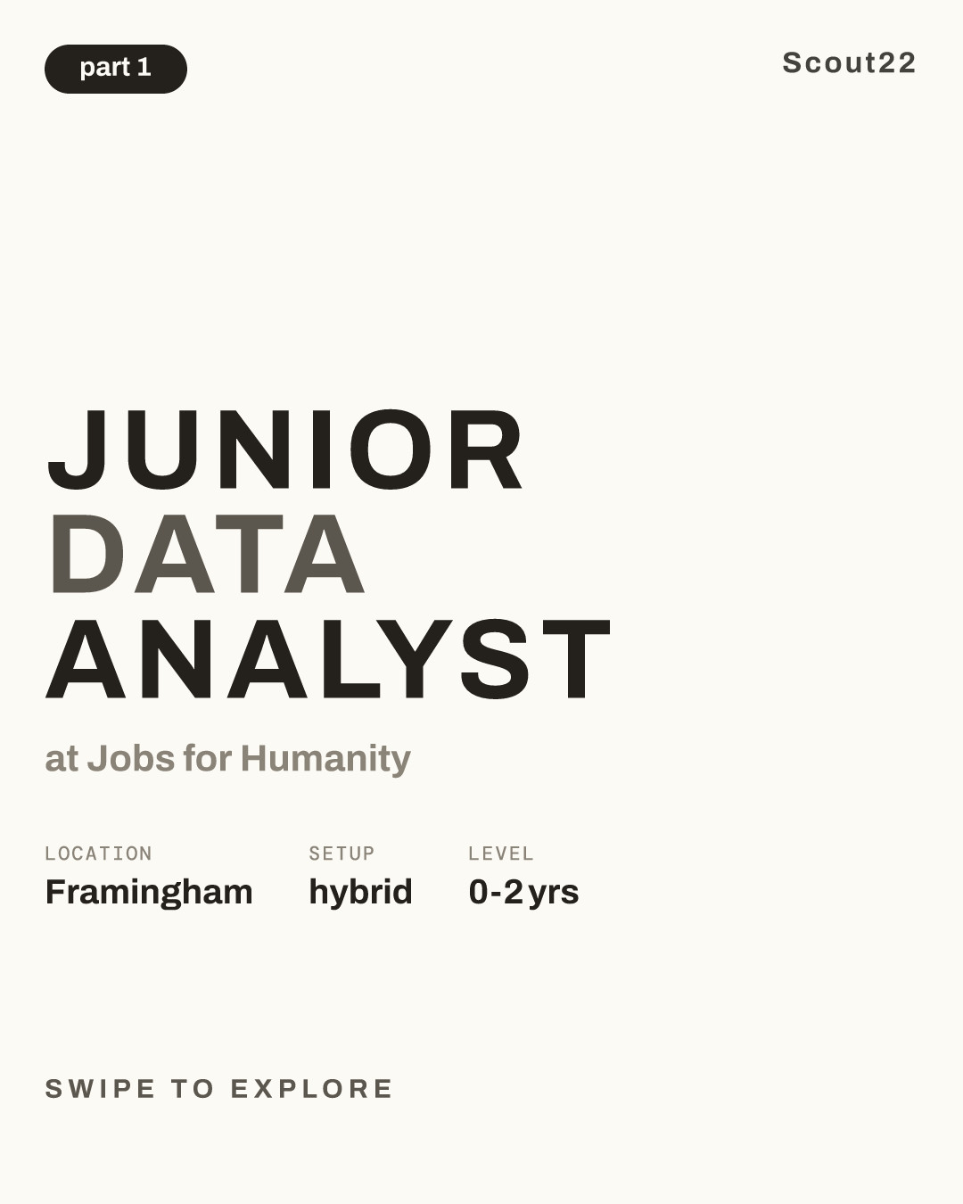 Junior Data Analyst at Jobs for Humanity