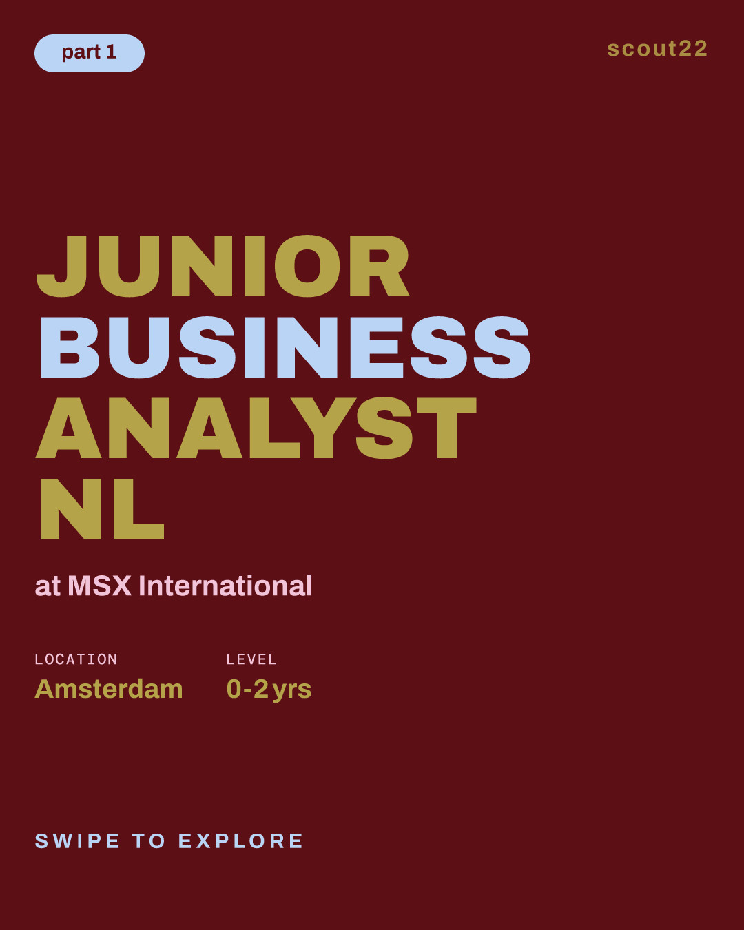 Junior Business Analyst NL at MSX International