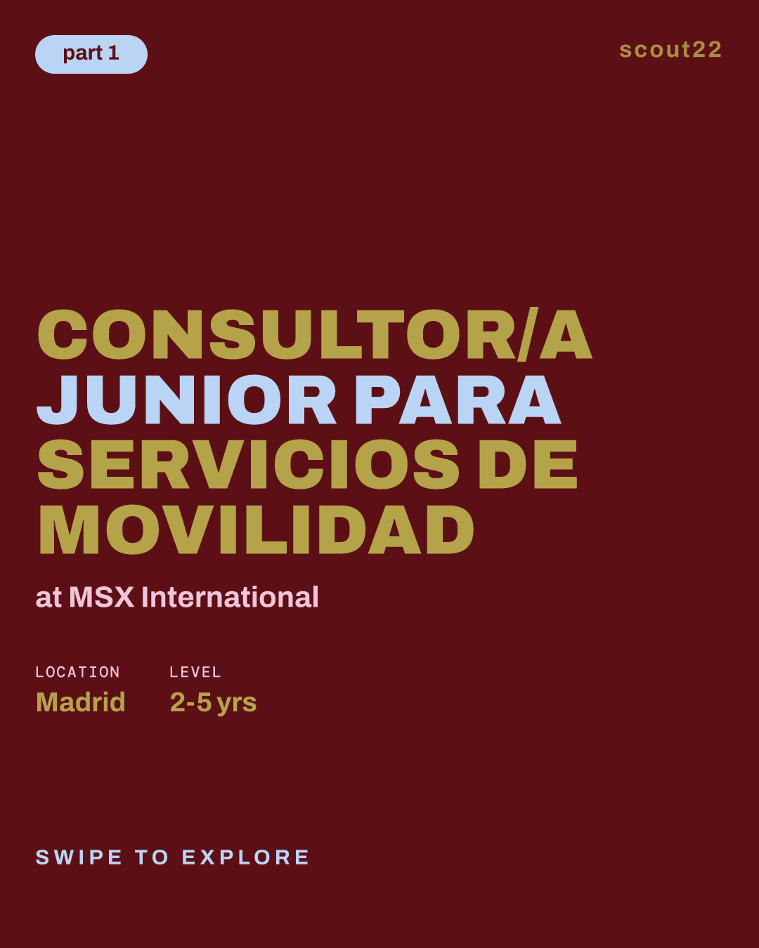 Consultor/a Junior para Servicios de Movilidad at MSX International