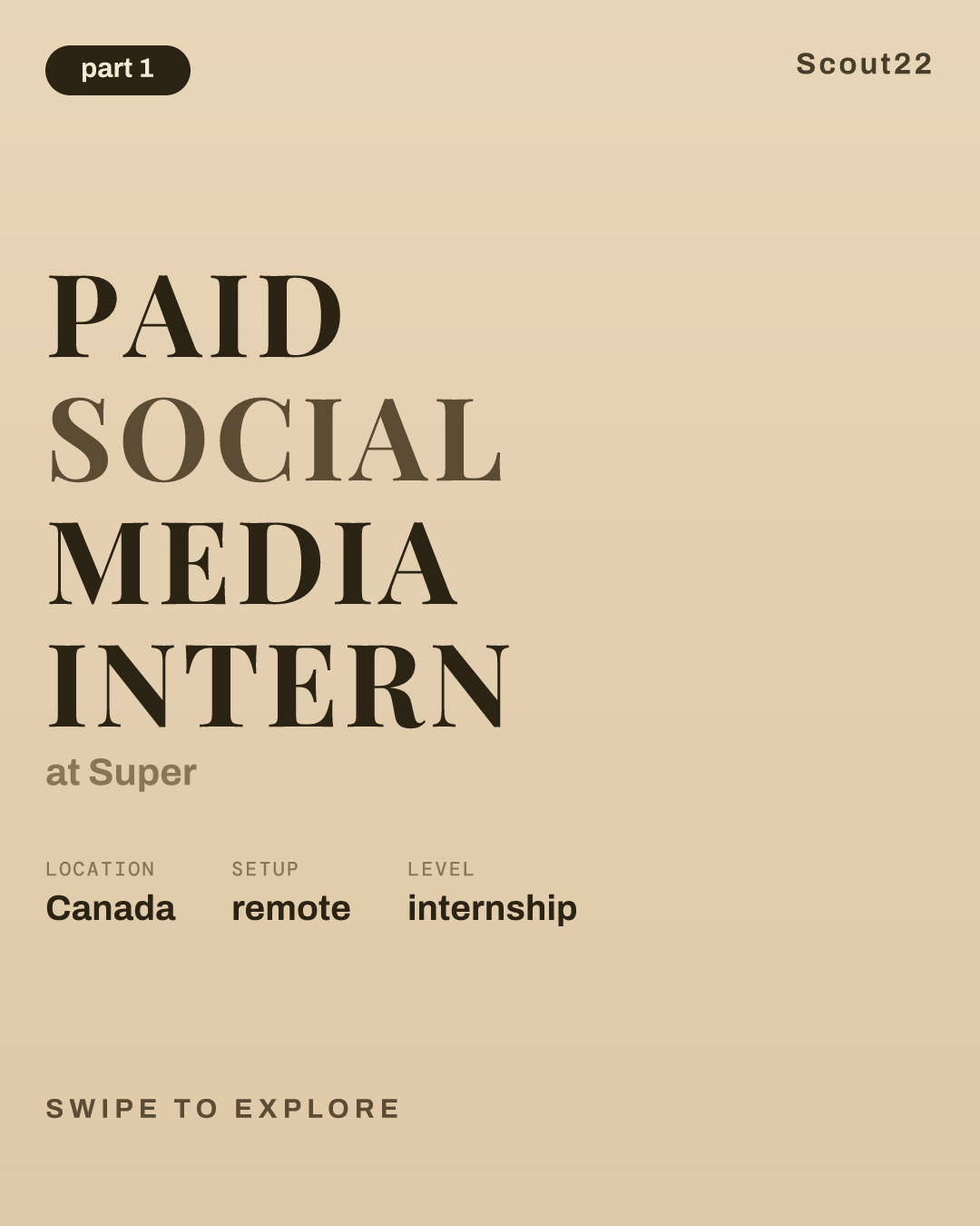 Paid Social Media Intern at Super