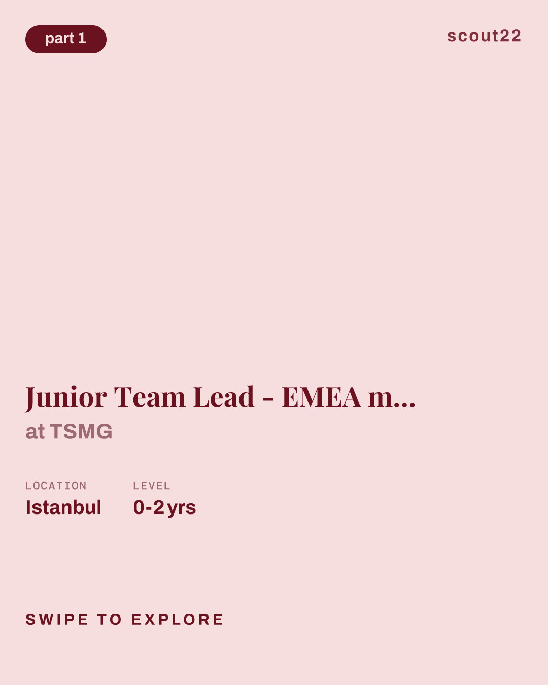 Junior Team Lead - EMEA market at TSMG