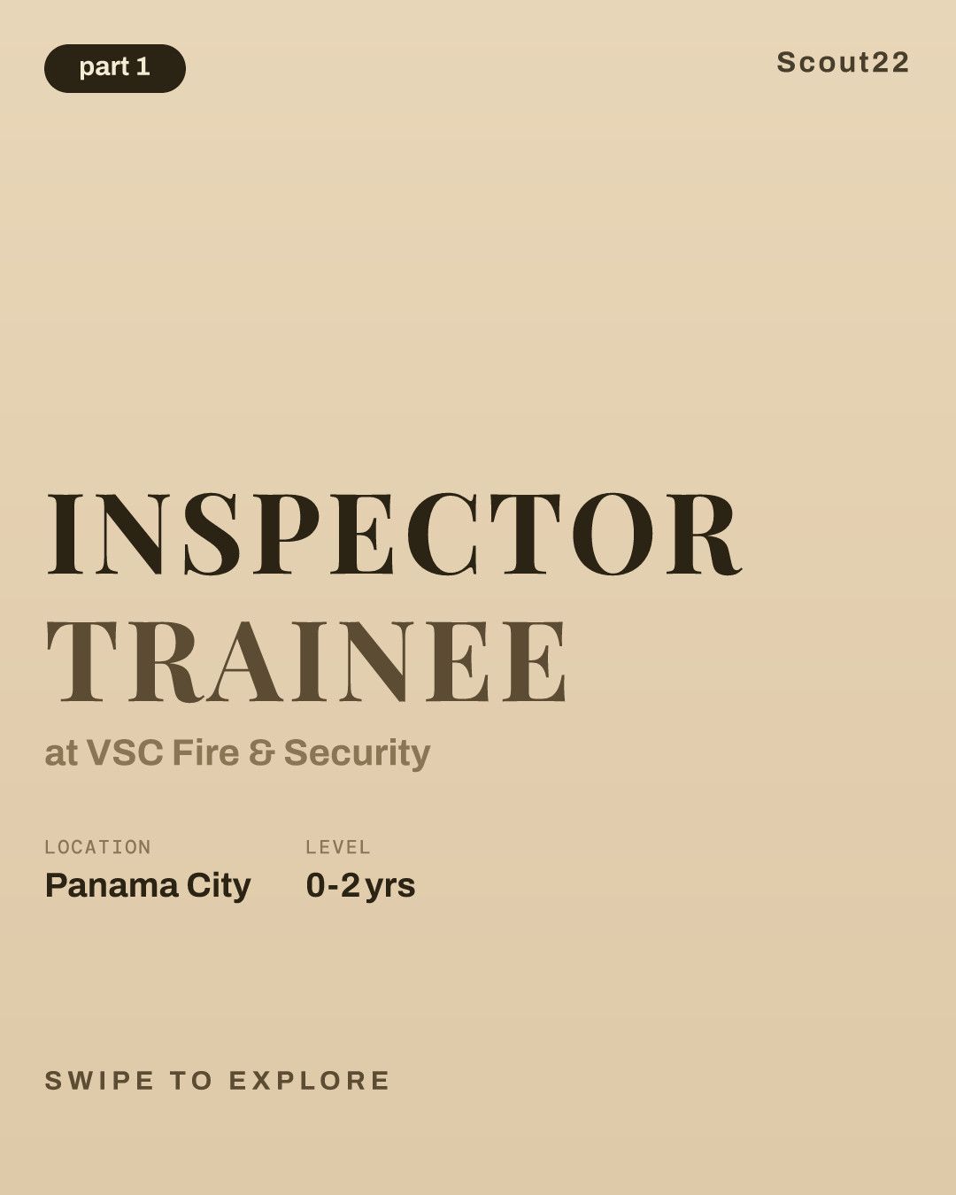 Inspector Trainee at VSC Fire & Security