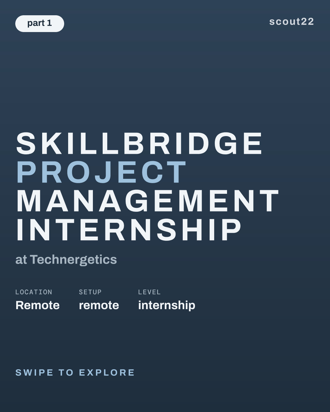 SkillBridge Project Management Internship at Technergetics