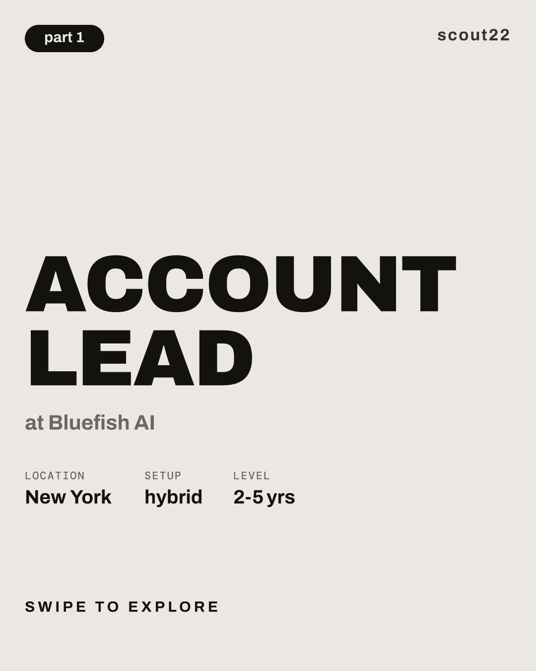 Account Lead at Bluefish AI