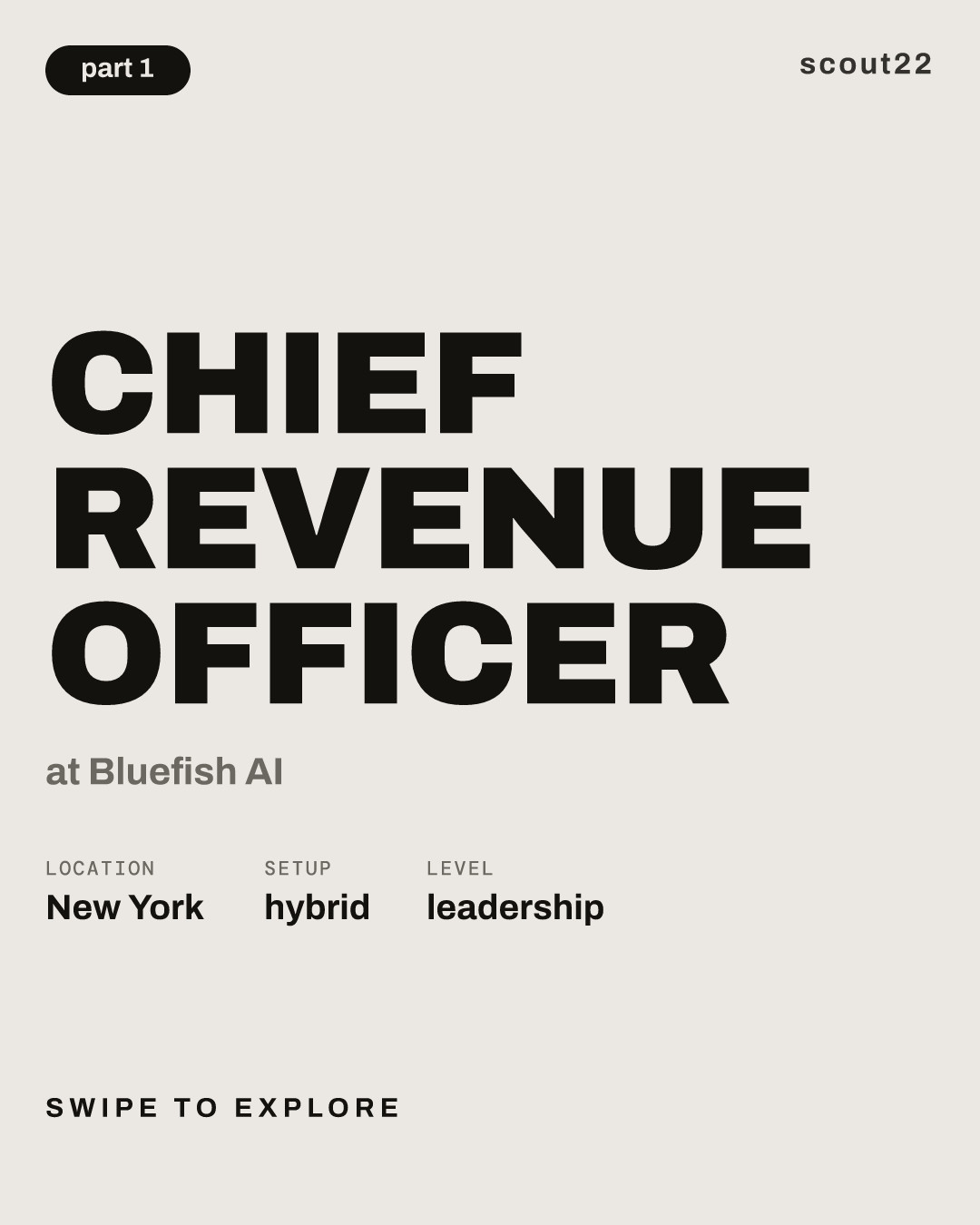 Chief Revenue Officer at Bluefish AI