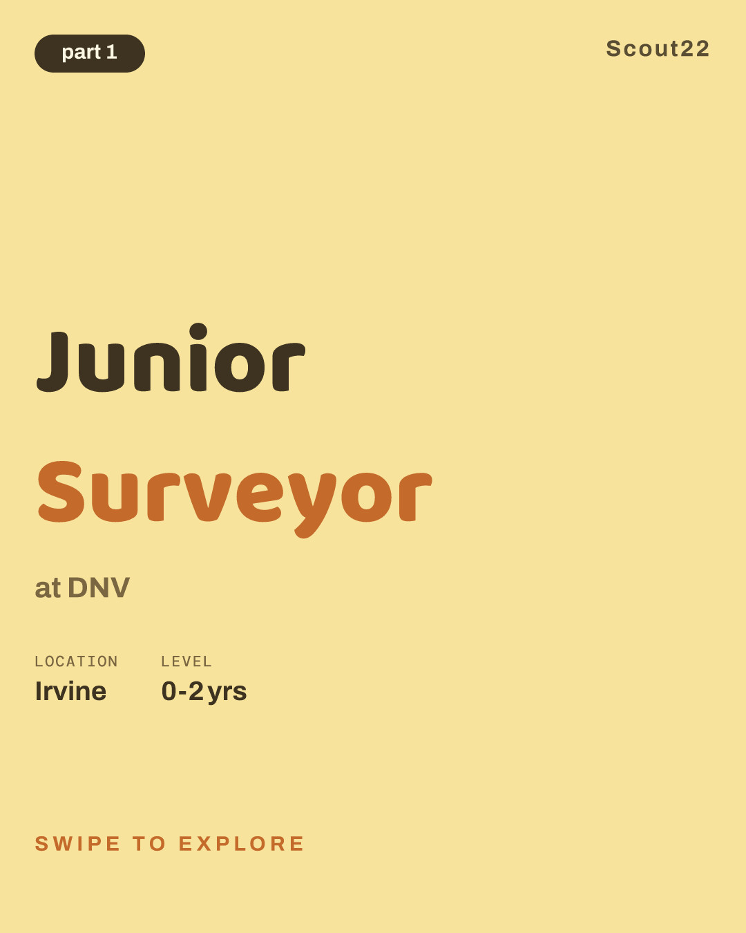 Junior Surveyor at DNV