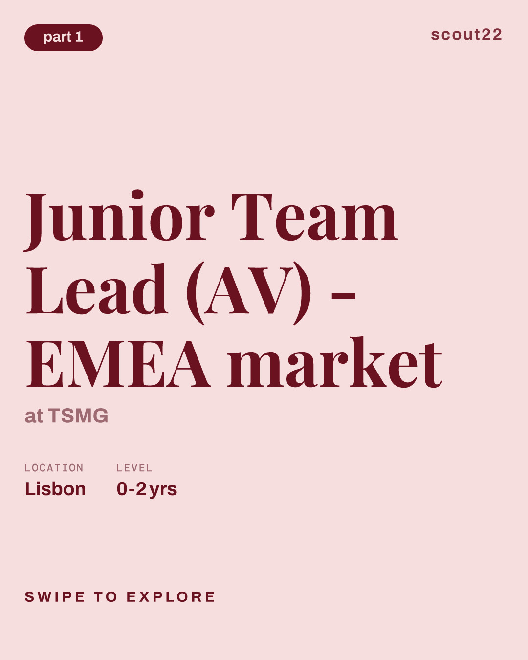 Junior Team Lead (AV) - EMEA market at TSMG