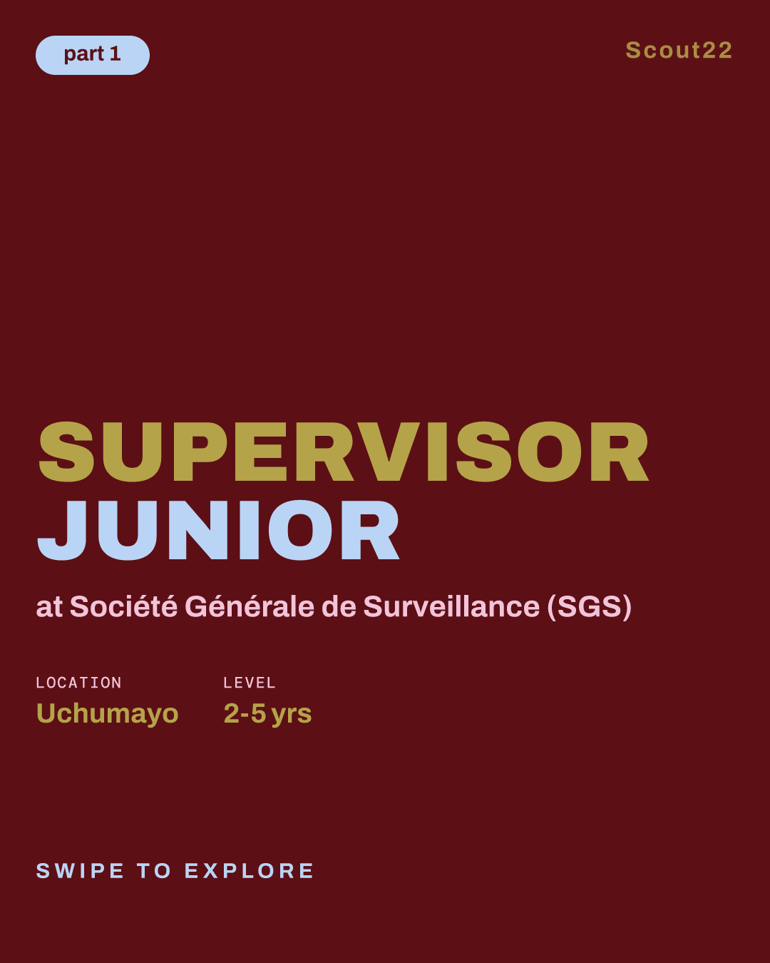 Supervisor Junior at Société Générale de Surveillance (SGS)