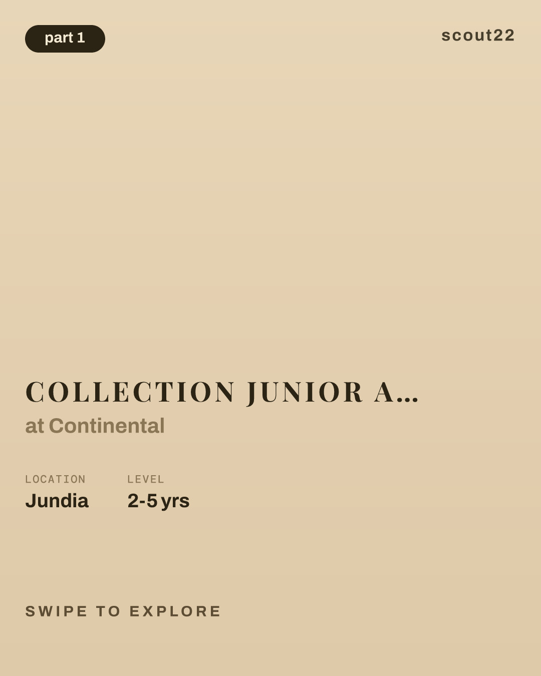 Collection Junior Analyst (Temporary Position) at Continental