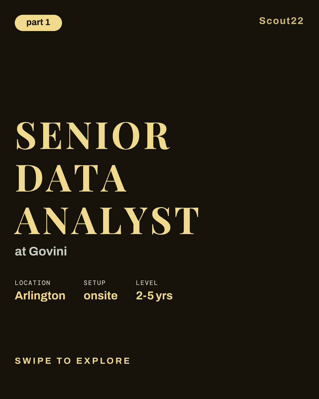 Senior Data Analyst at Govini