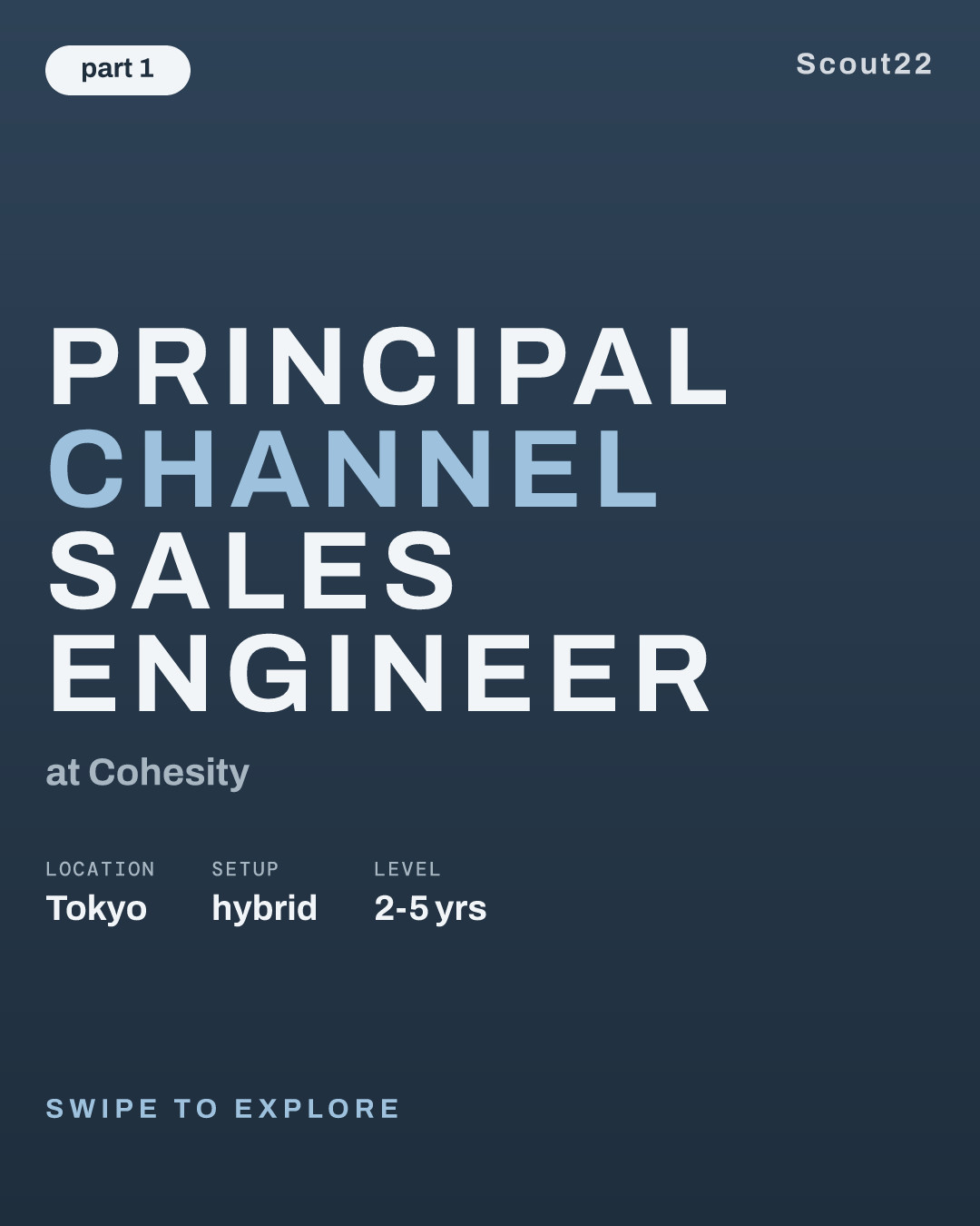 Principal Channel Sales Engineer at Cohesity