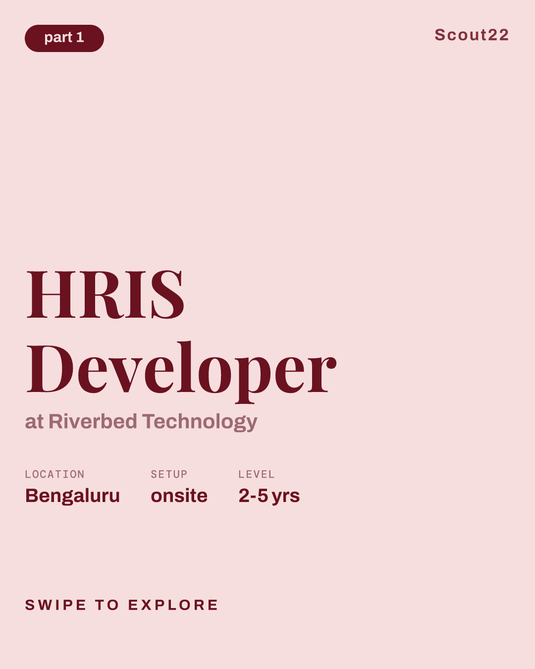 HRIS Developer at Riverbed Technology