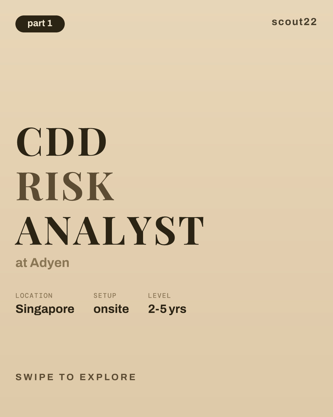 CDD Risk Analyst at Adyen