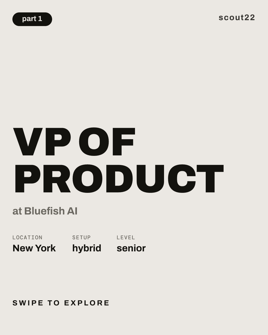 VP of Product at Bluefish AI